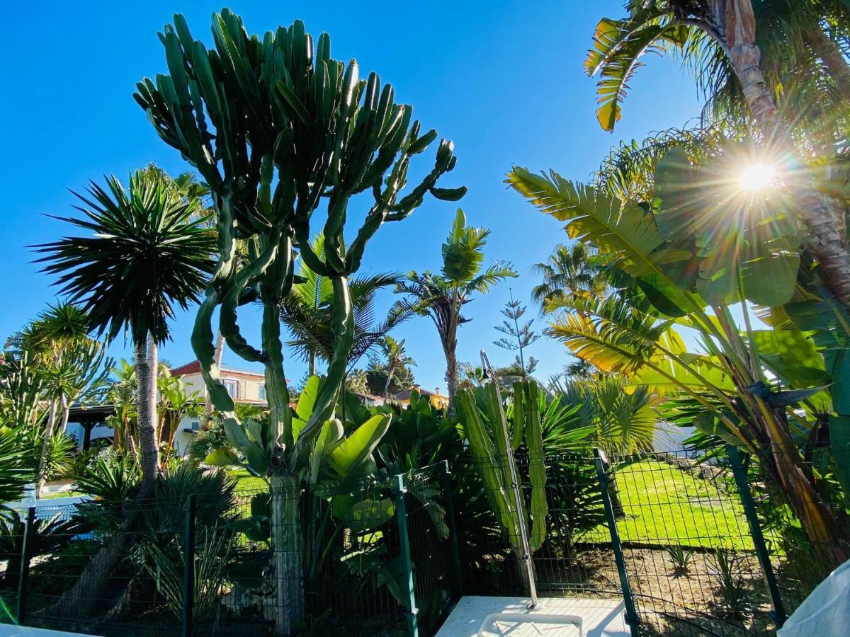 Studio-Near The Beach, Bbq And Seawater Pool ماربيا المظهر الخارجي الصورة
