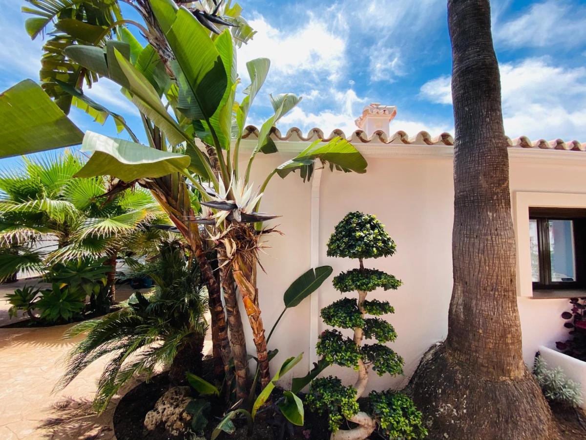 Studio-Near The Beach, Bbq And Seawater Pool ماربيا المظهر الخارجي الصورة